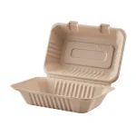 Bagasse Food Containers