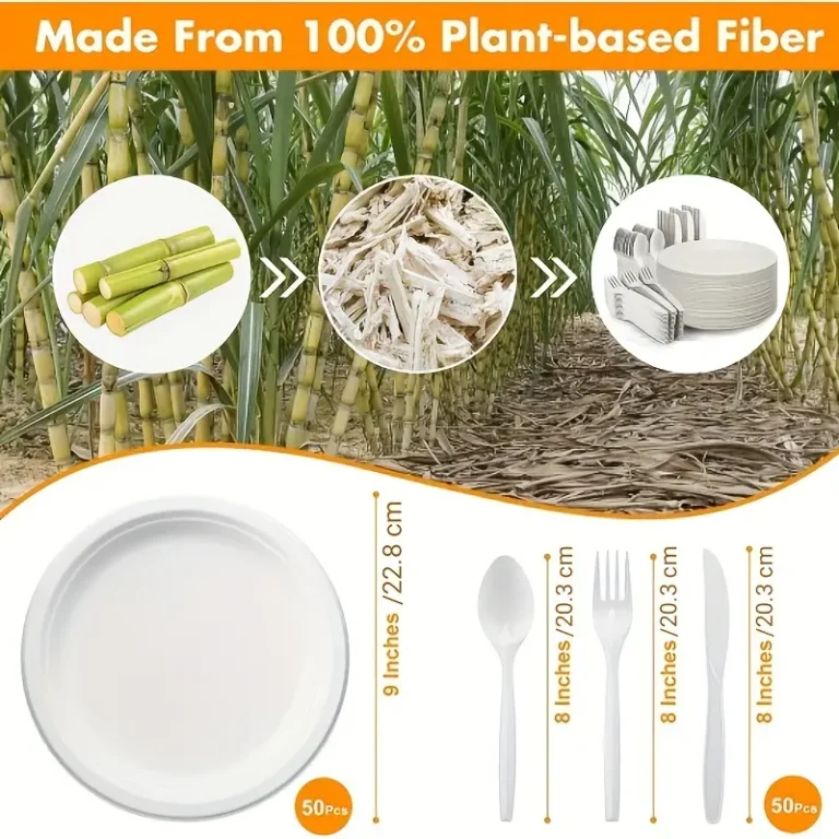 Plastic Cutlery: Convenient, Versatile, and Evolving