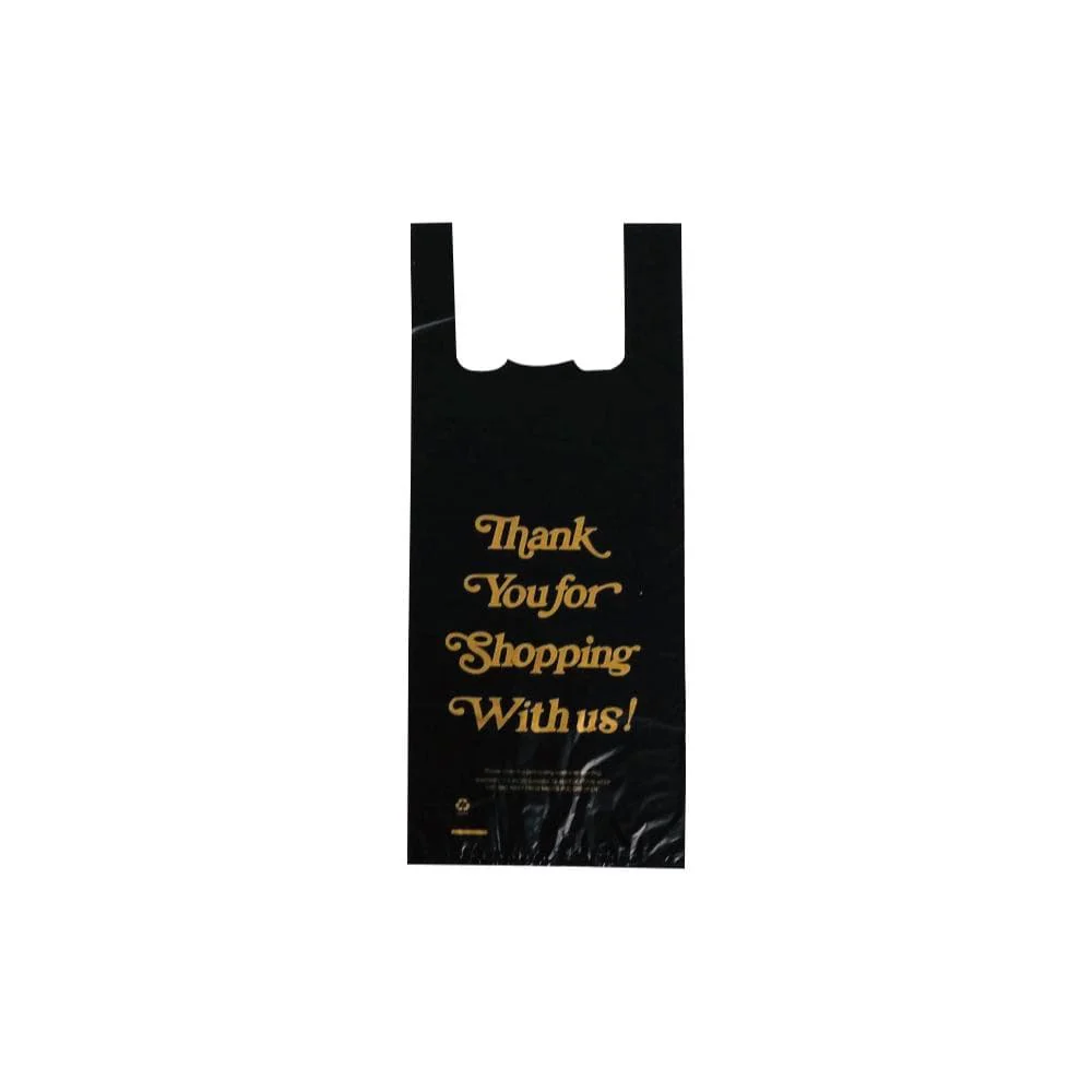 2 bottle liquor bag